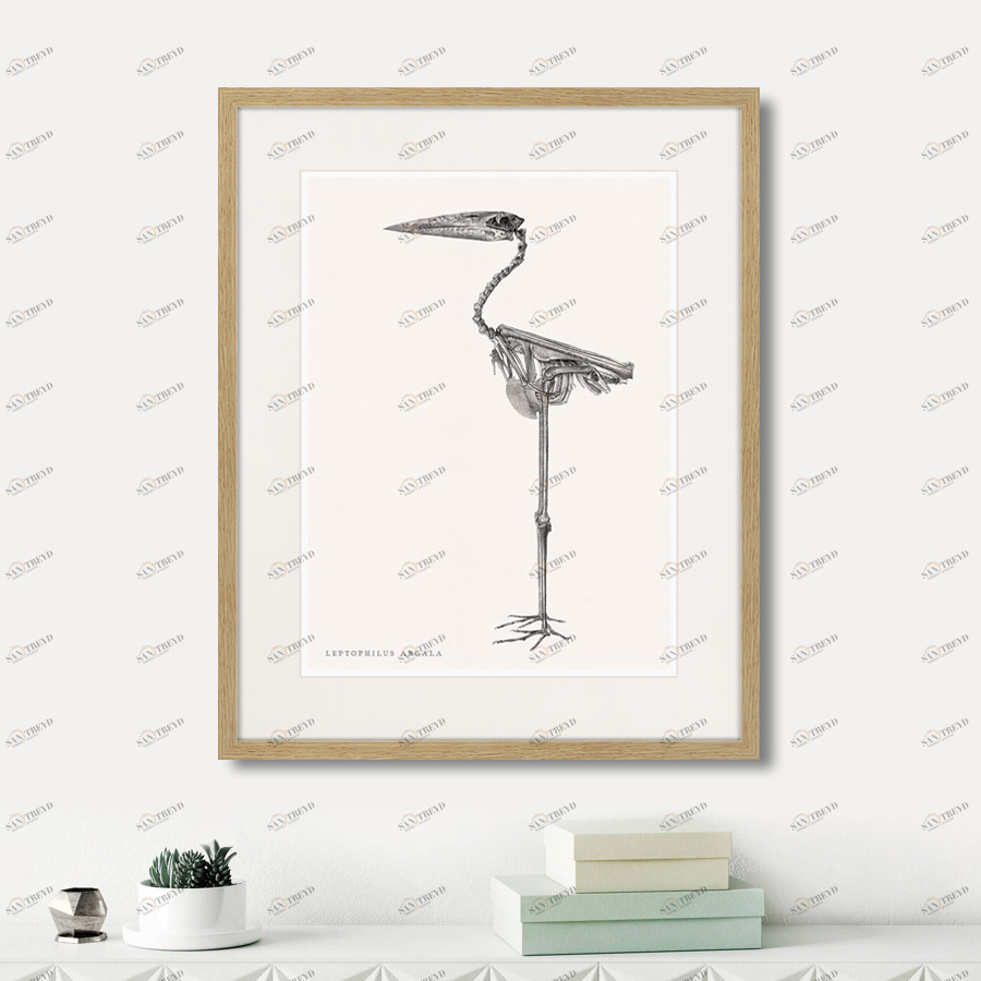 Картина в деревянной раме 52х42 см Leptophilus Argala, 1867г. КАРТИНЫ В КВАРТИРУ  264398 Белый;коричневый;разноцветный 