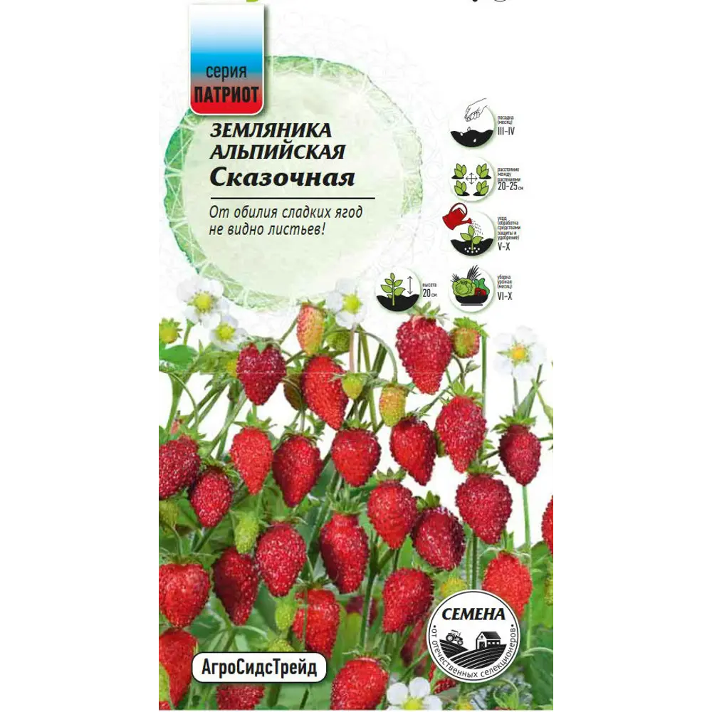 Семена плодово-ягодных растений Патриот земляника Сказочная Santreyd STLM-2147110