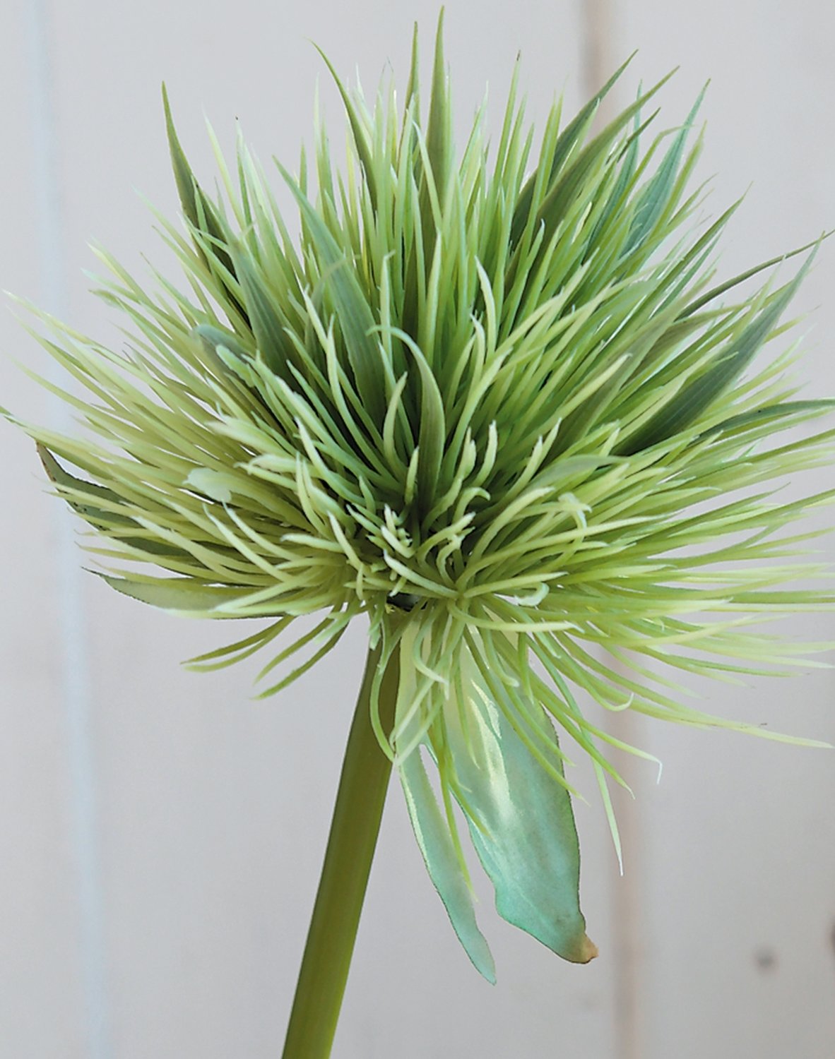 5851 883 a2 Искусственный ковыль китайский, 85 см, зеленый H-andreas  - Вид №6