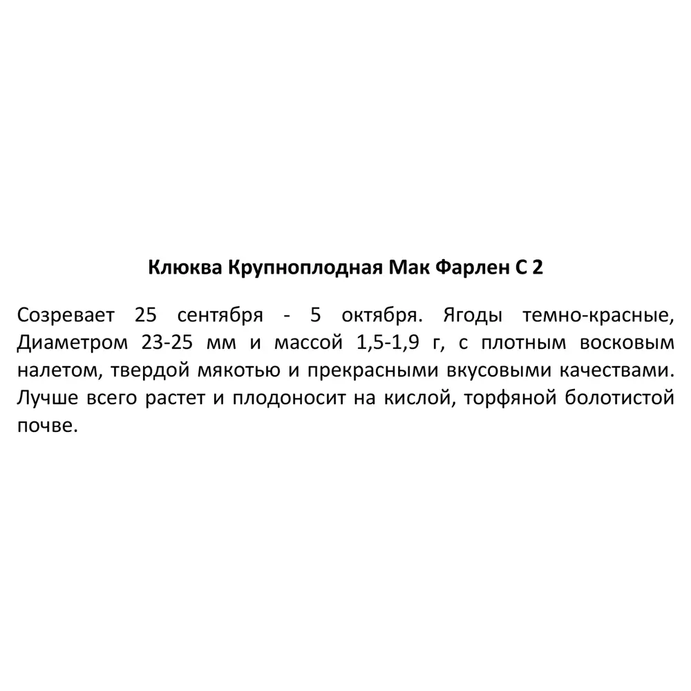 Клюква крупноплодная Мак Фарлен ø17 h30 см 85325507 STLM-2028927 Santreyd  - Вид №3