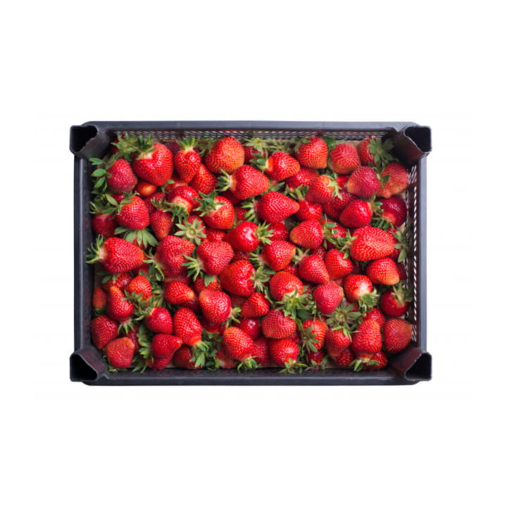 Клубника Кубань в ящике ~5 кг Santreyd 19488 - Вид №1