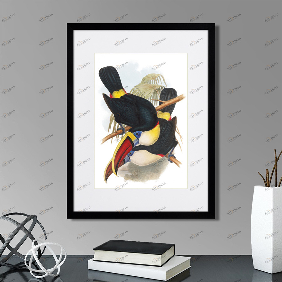 Литография на тонированной бумаге 42х32 см Toucans №2, 1849г. КАРТИНЫ В КВАРТИРУ  264535 Белый;коричневый;разноцветный 