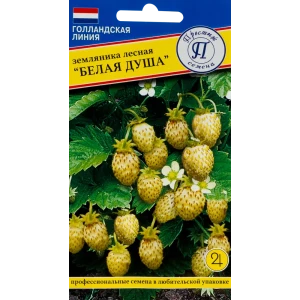 Земляника лесная «Белая душа» 82107752 STLM-2157336