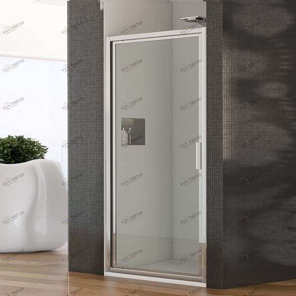 Двери в нишу ELIANA 100 см CSA Box Doccia 97P