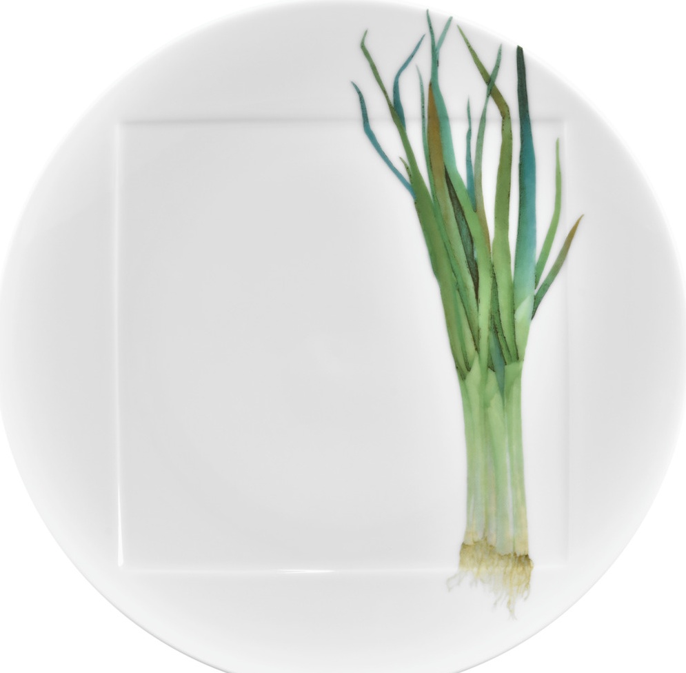 10637883 Noritake Тарелка обеденная Noritake "Овощной букет.Зелёный лук" 27см Фарфор 