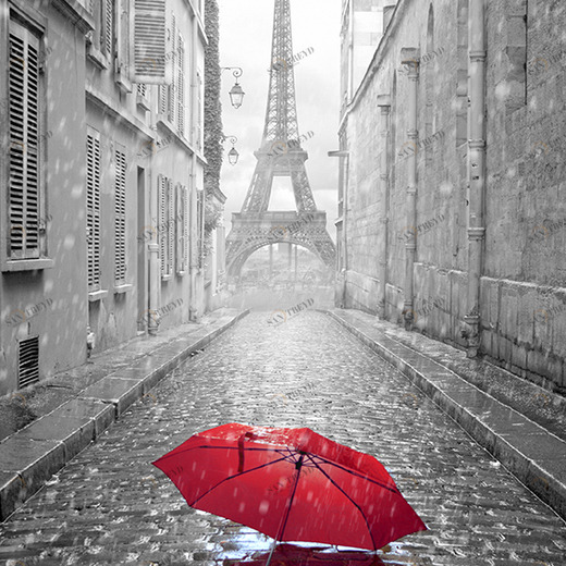 D2-085 Фотообои DIVINO Collection D 2.7х2 м D2085