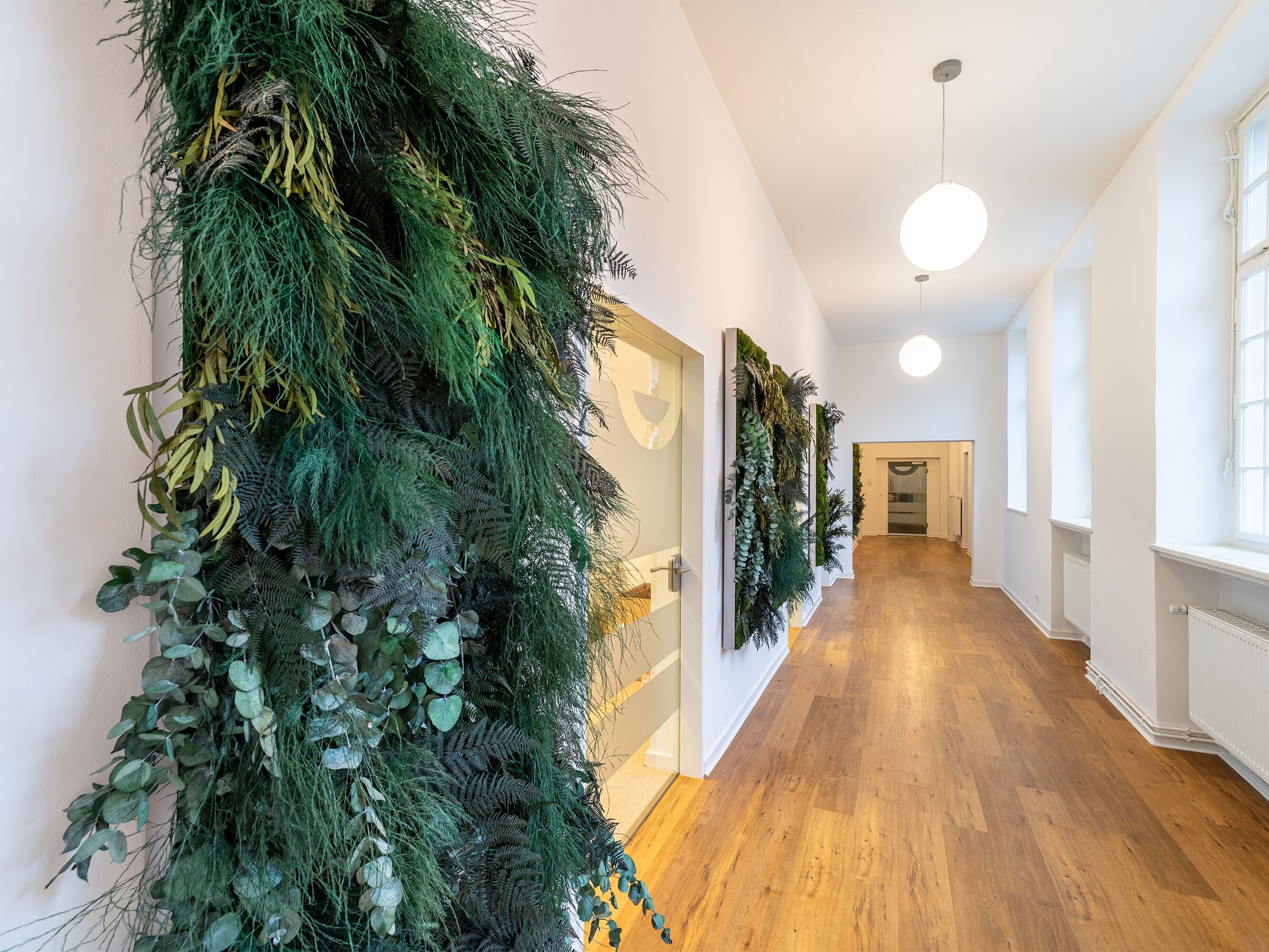 Растительная стена из мха / стабилизированные растения Freund GmbH ARCH-00116039 - Вид №11