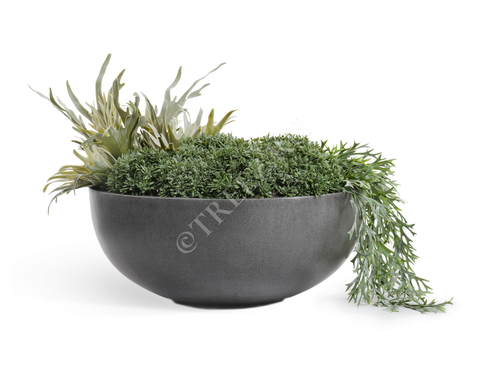 41.3317-02-006-GR-62 Кашпо  Effectory - серия Beton - Низкая чаша - Тёмно-серый бетон Цветочная коллекция  - Вид №2