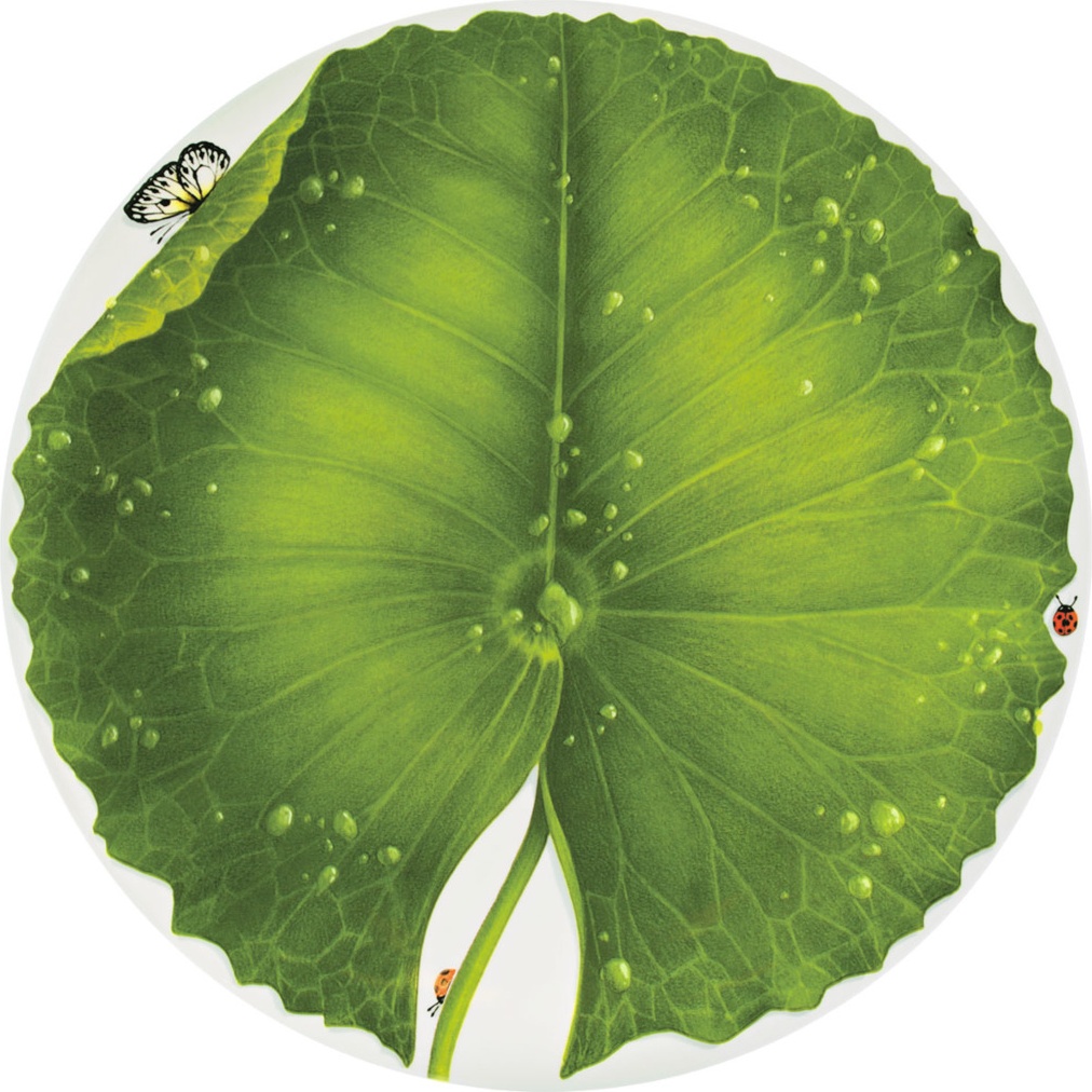 10640779 Taitu Блюдо круглое Taitu "Свобода" 33см Фарфор костяной 