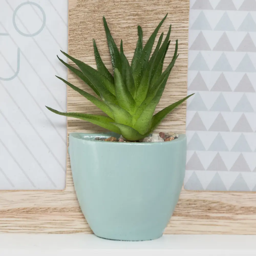 Рамка для 2-ух фотографий «Кактус» цвет белый Atmosphera STLM-2179766 - Вид №1