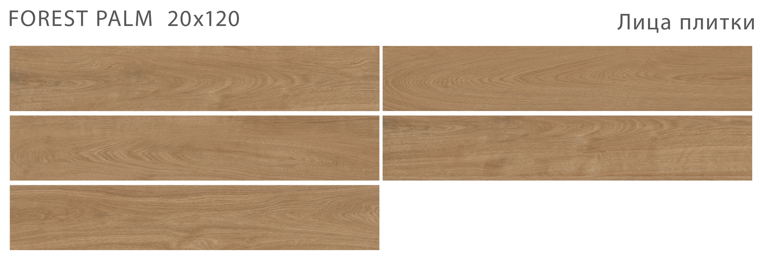 Лесное очарование: керамогранит STAROWOOD Forest STP-ST221 INCOLOR - Вид №1