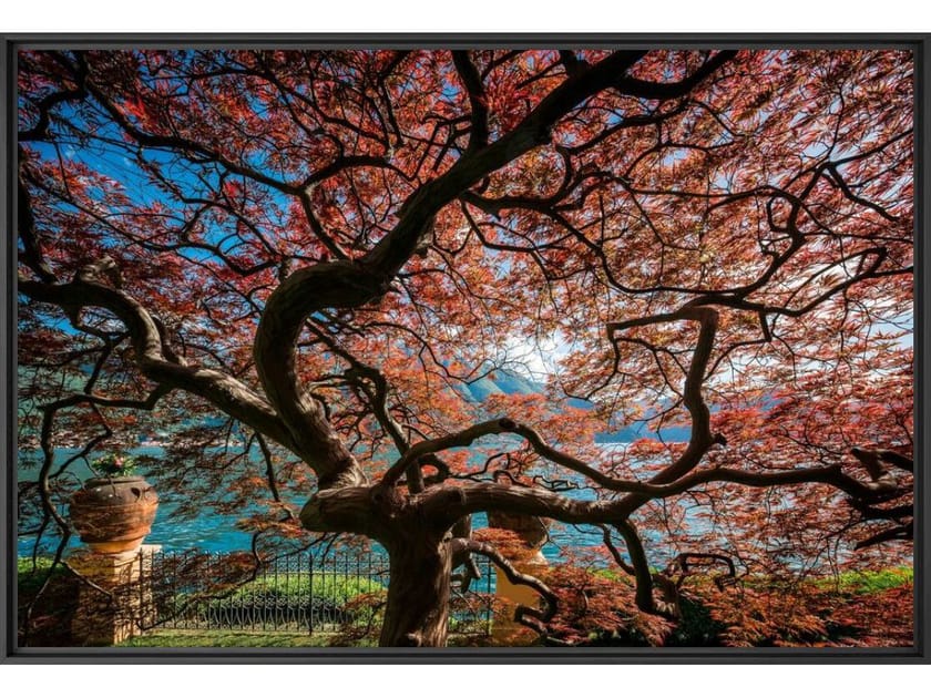 Печать фотографий на бумаге YellowKorner пейзаж ARCH-00114594