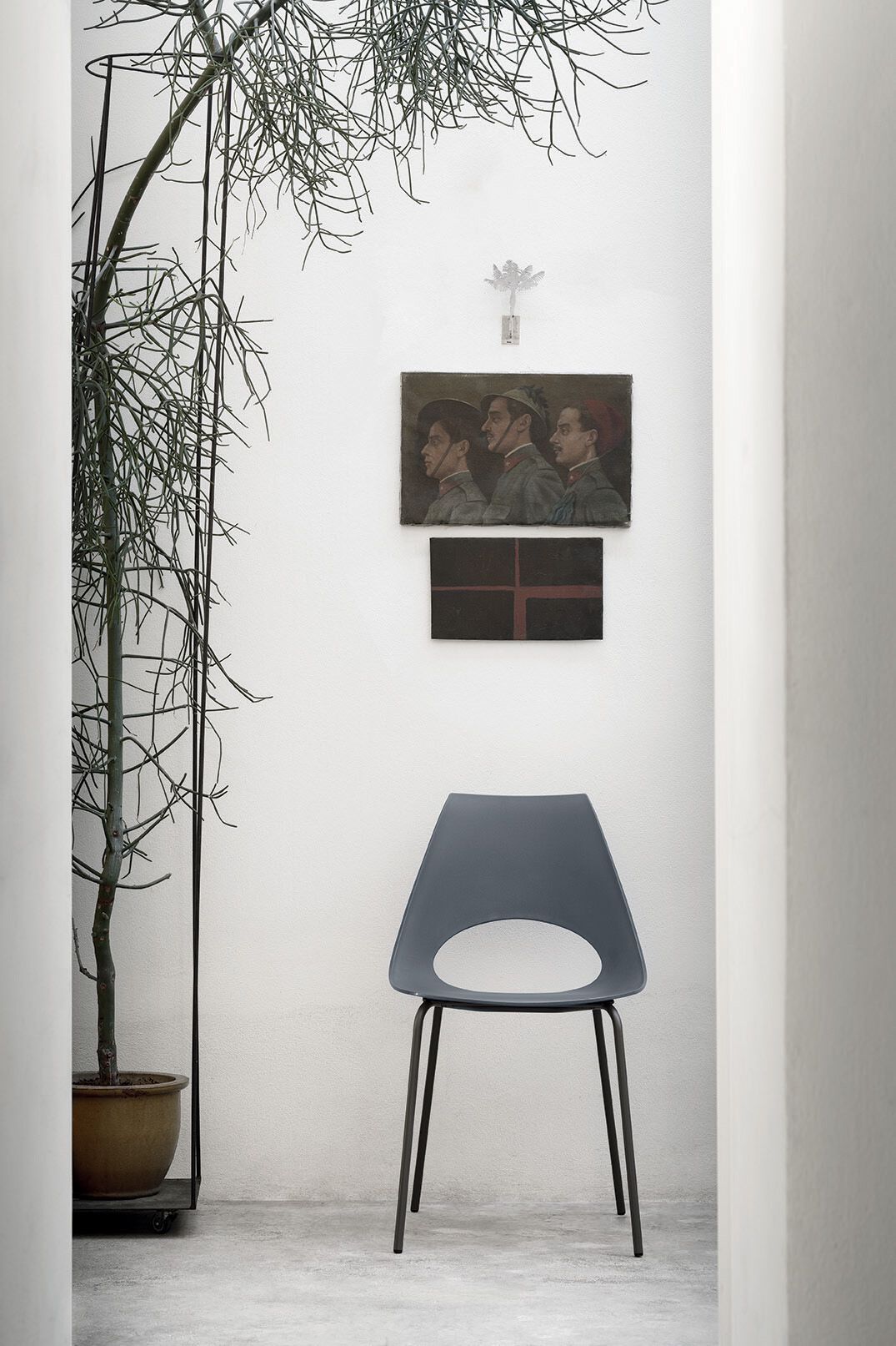 Стул из полипропилена Bontempi Casa Shark ARCH-00013644 - Вид №1