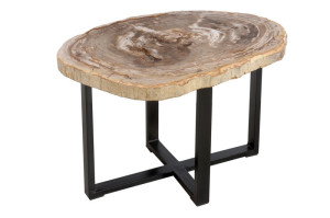FUBR037 Приставной столик из окаменелого дерева ijlbrown