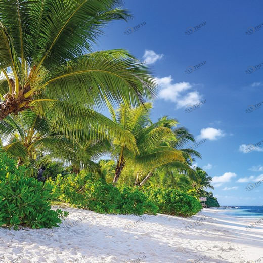 8-992-Reunion Фотообои Komar Vol.15 3.68х2.54 м 8992REUNION