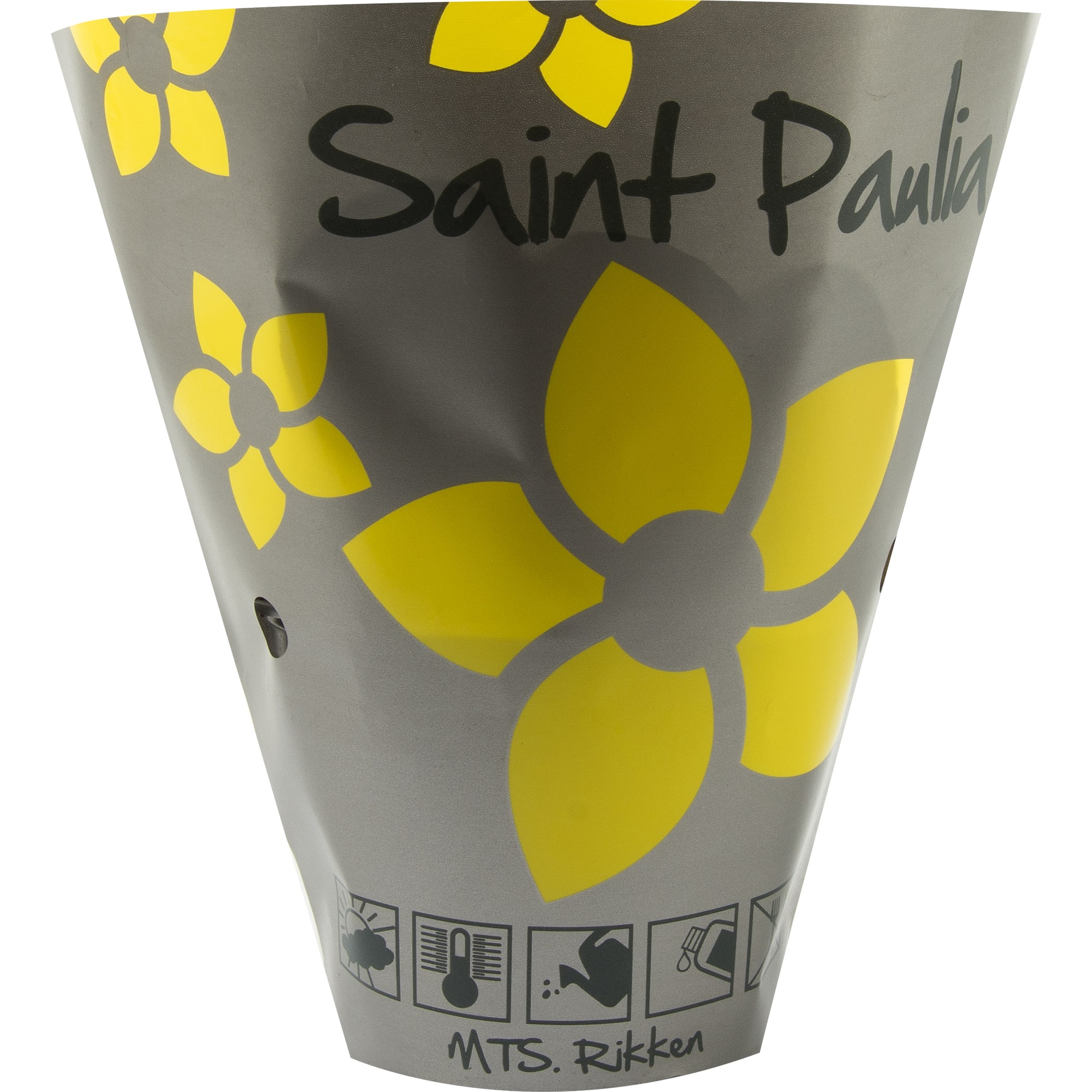 82579748 Фиалка микс d9 h20 Santreyd  - Вид №2