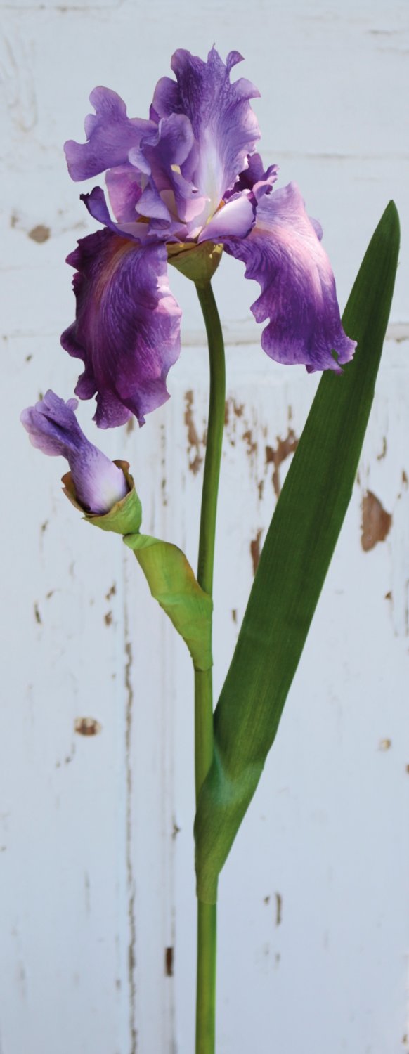 3848 222 a3 Ирис шелковый цветок, 78см, темно-фиолетовый H-andreas  - Вид №2