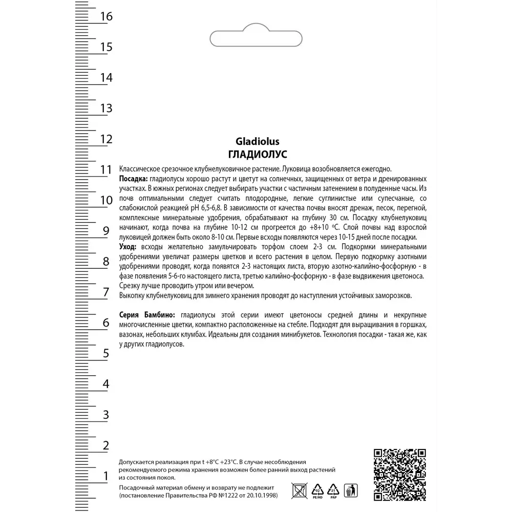 Гладиолус «Бамбино Сан Сиро» ПОИСК STLM-2048064 - Вид №1
