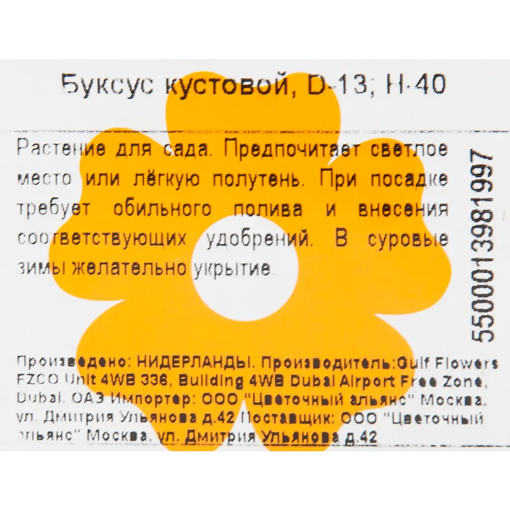 Буксус кустовой 13x40 см 82853827 STLM-2000900 Santreyd  - Вид №1