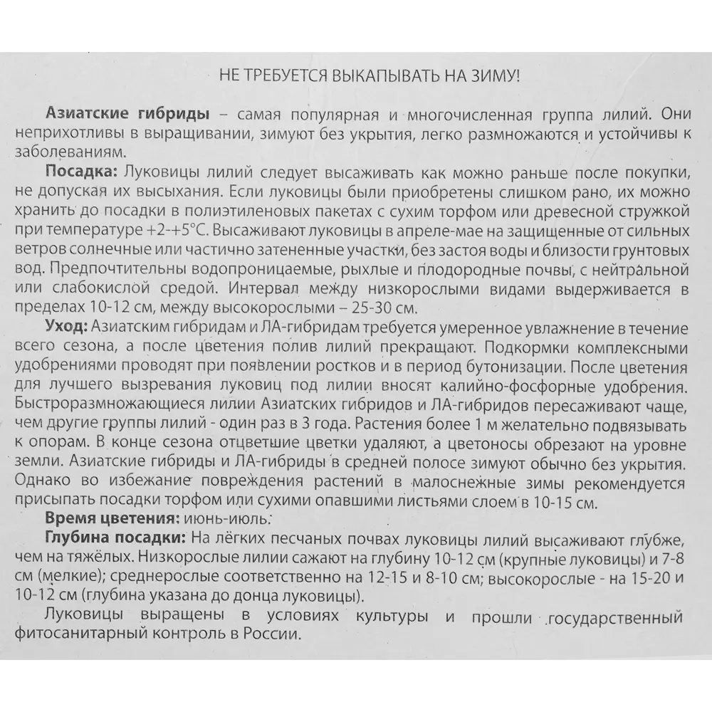 Лилия азиатская Бонеста 5 шт. 83628522 STLM-2093974 BOTANIC COLLECTION  - Вид №3