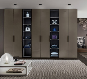 Шкаф  OLIVIERI GLASS 01