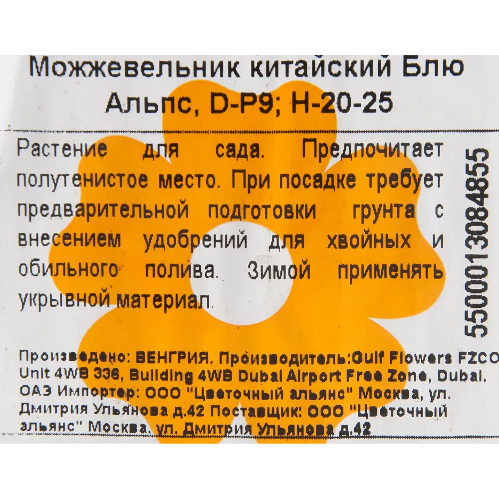Можжевельник «Блю Альпс» 9x20 см 82601647 STLM-2105777 Santreyd  - Вид №1