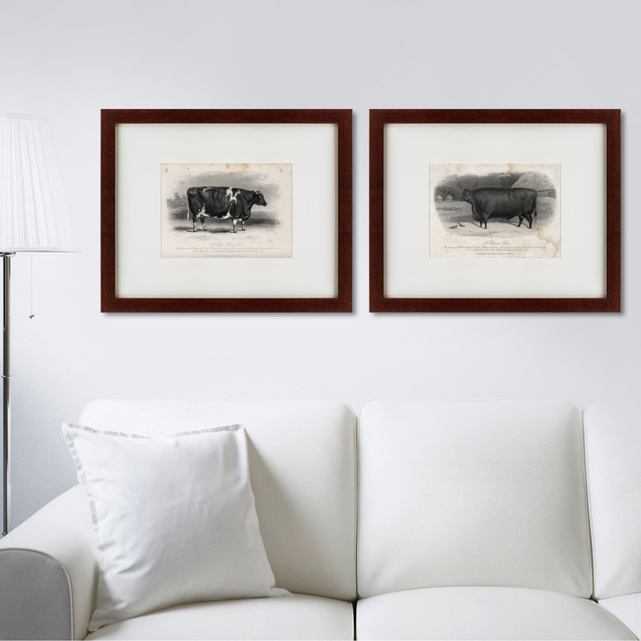Картина: A short horned cow, 1850 КАРТИНЫ В КВАРТИРУ  135687 Разноцветный  - Вид №2