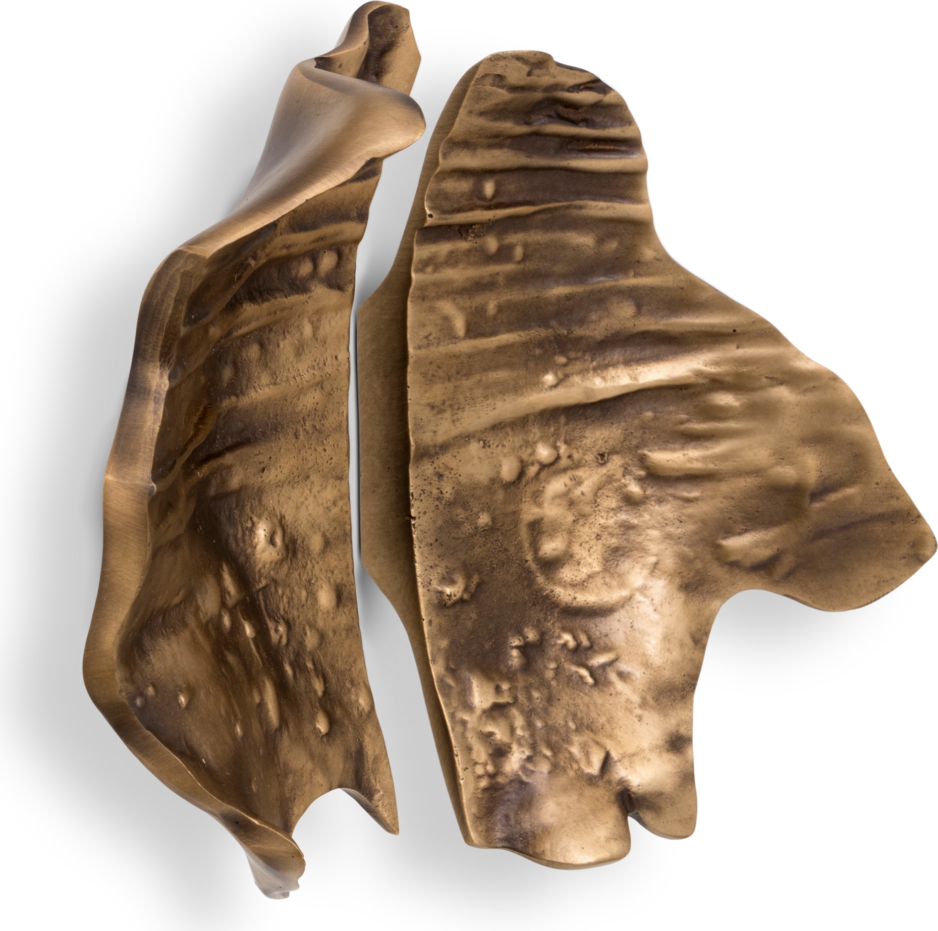 EA1053 PullCast Дверные тяги LEAF Полированная латунь  - Вид №1