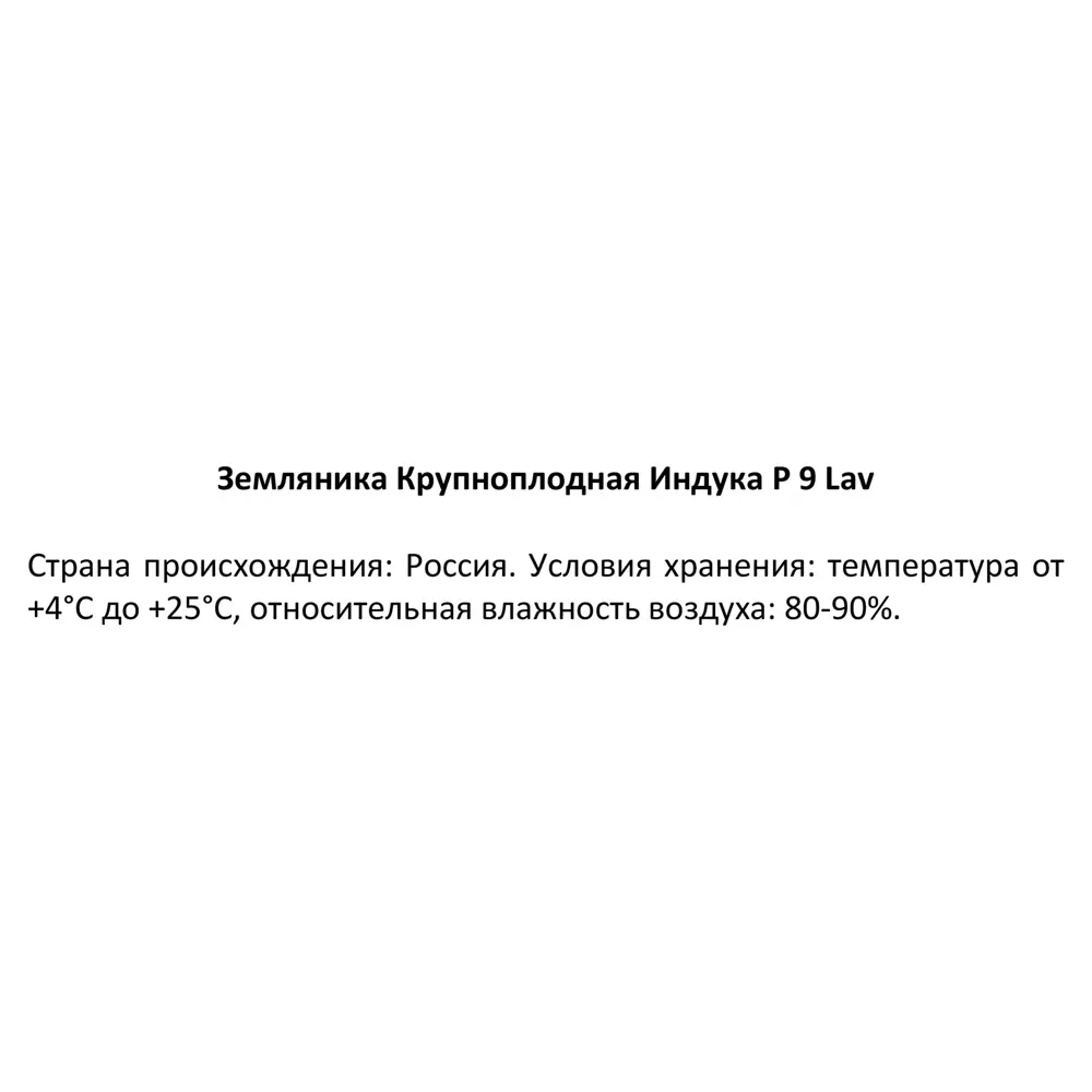 Земляника садовая Индука ø9 h25 см 87767408 STLM-2019701 Santreyd  - Вид №2
