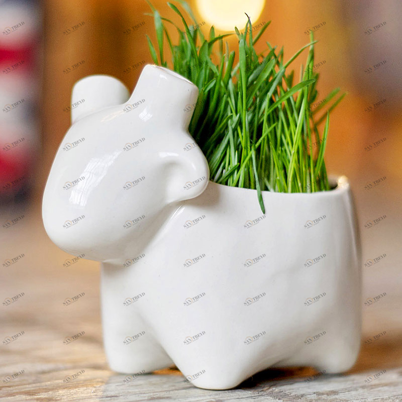 Набор для выращивания eco "Овечка" ЭКОЧЕЛОВЕКИ  254579 Белый 