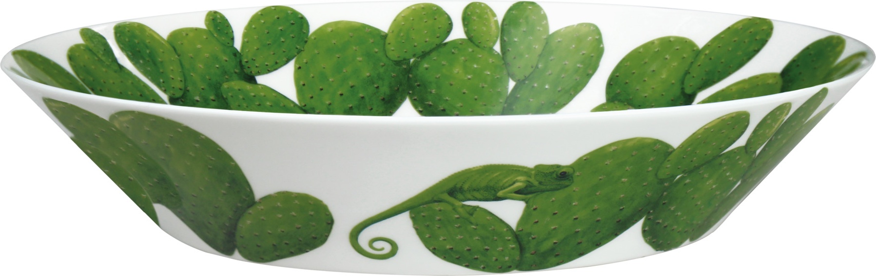 10640800 Taitu Салатник Taitu "Кактусы" 22см Фарфор костяной 