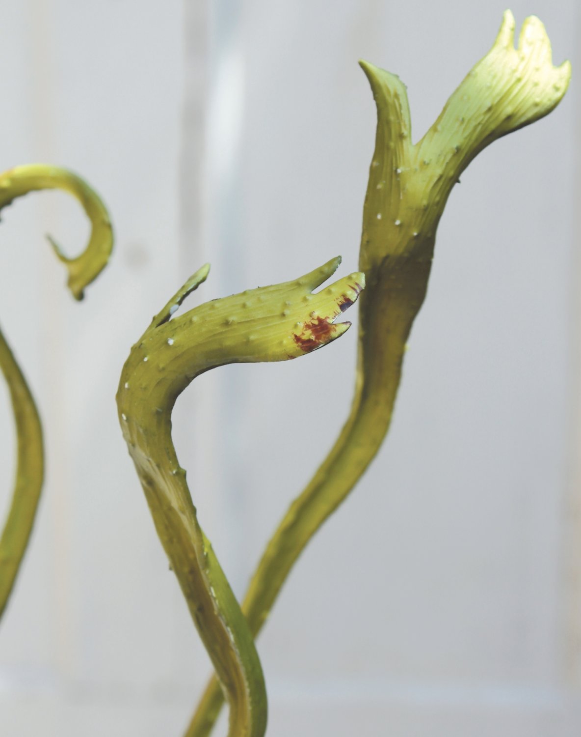 6635 883 a3 Искусственная ветка ивы японской веерной, 118 см, зеленая H-andreas  - Вид №1