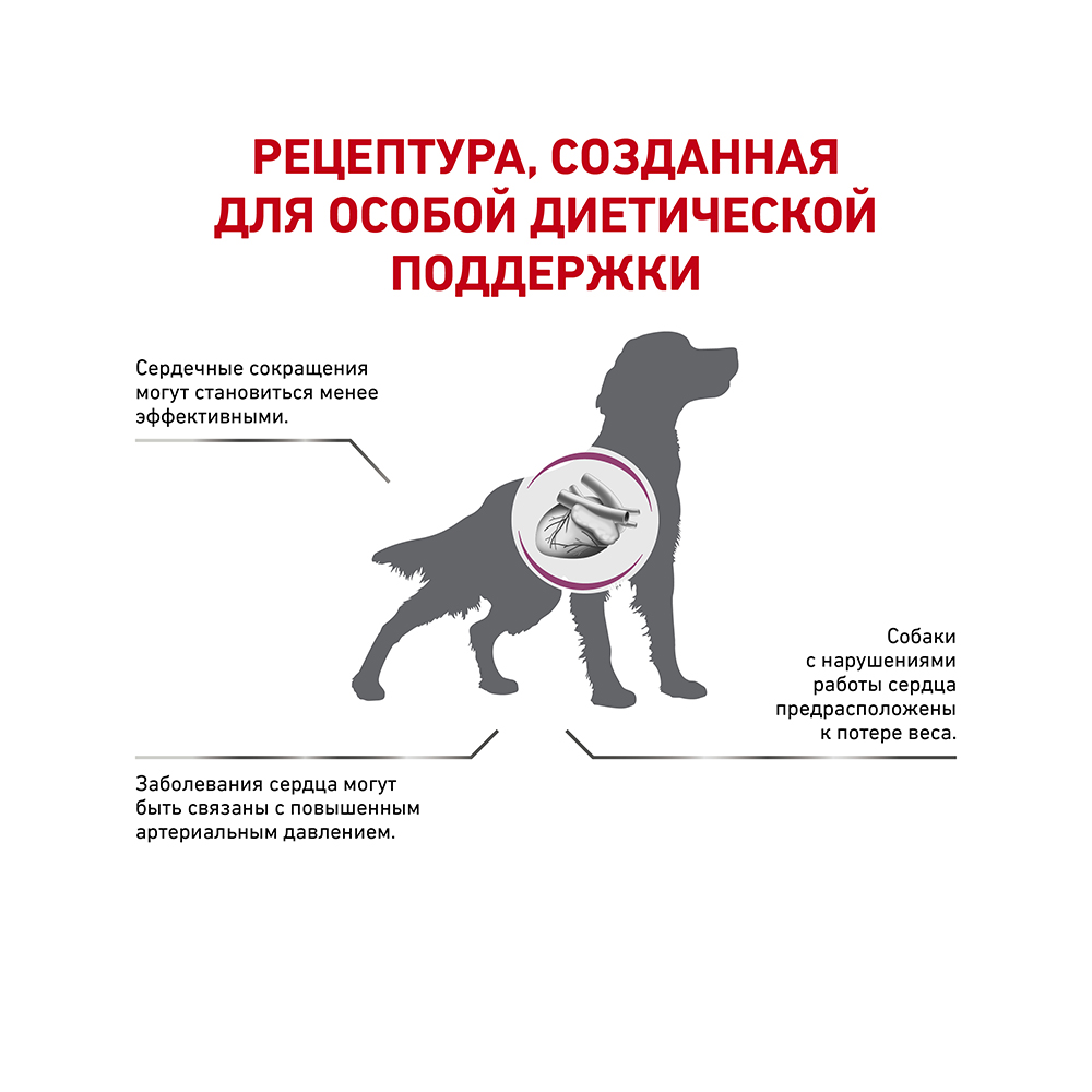 Т0023218 Корм для собак Vet Diet Cardiac EC26 при сердечной недостаточности сух. 2кг ROYAL CANIN  - Вид №2