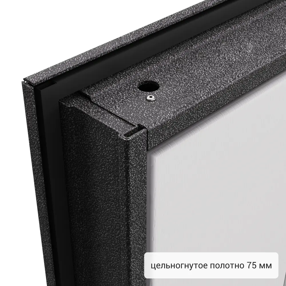 Дверь входная металлическая Фолд 880 мм левая Скай 83404321 STLM-2016534 TOREX  - Вид №12