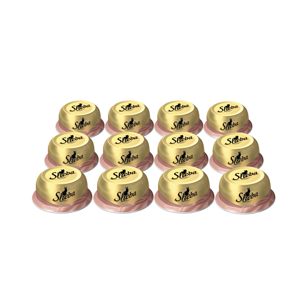 ПР0030533*12 Корм для кошек Мясо курицы с уткой конс. 80г (упаковка - 12 шт) SHEBA 