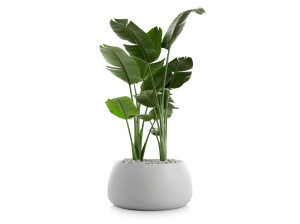 Пластиковый садовый горшок