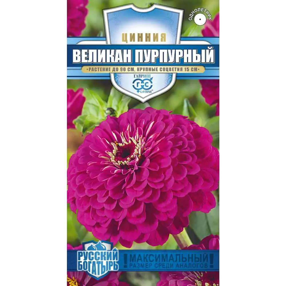 Семена циннии Великан пурпурный Гавриш - яркое украшение сада 89401928 STLM-1567196
