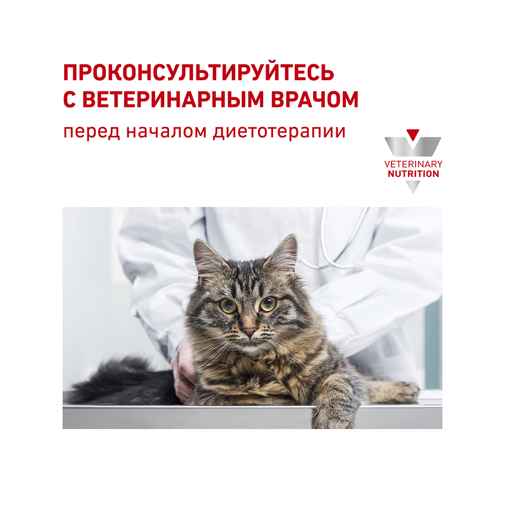 ПР0053544 Корм для кошек Vet Diet Diabetic DS46 при сахарном диабете пауч 85г ROYAL CANIN  - Вид №8