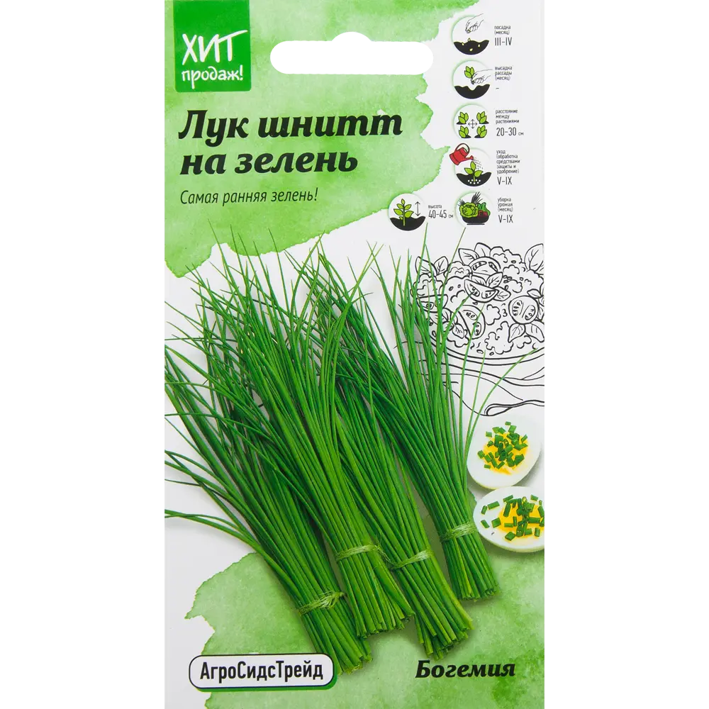 Лук на зелень «Богемия» от АГРОСИДСТРЕЙД - многолетний витаминный источник 82482175 STLM-0028003