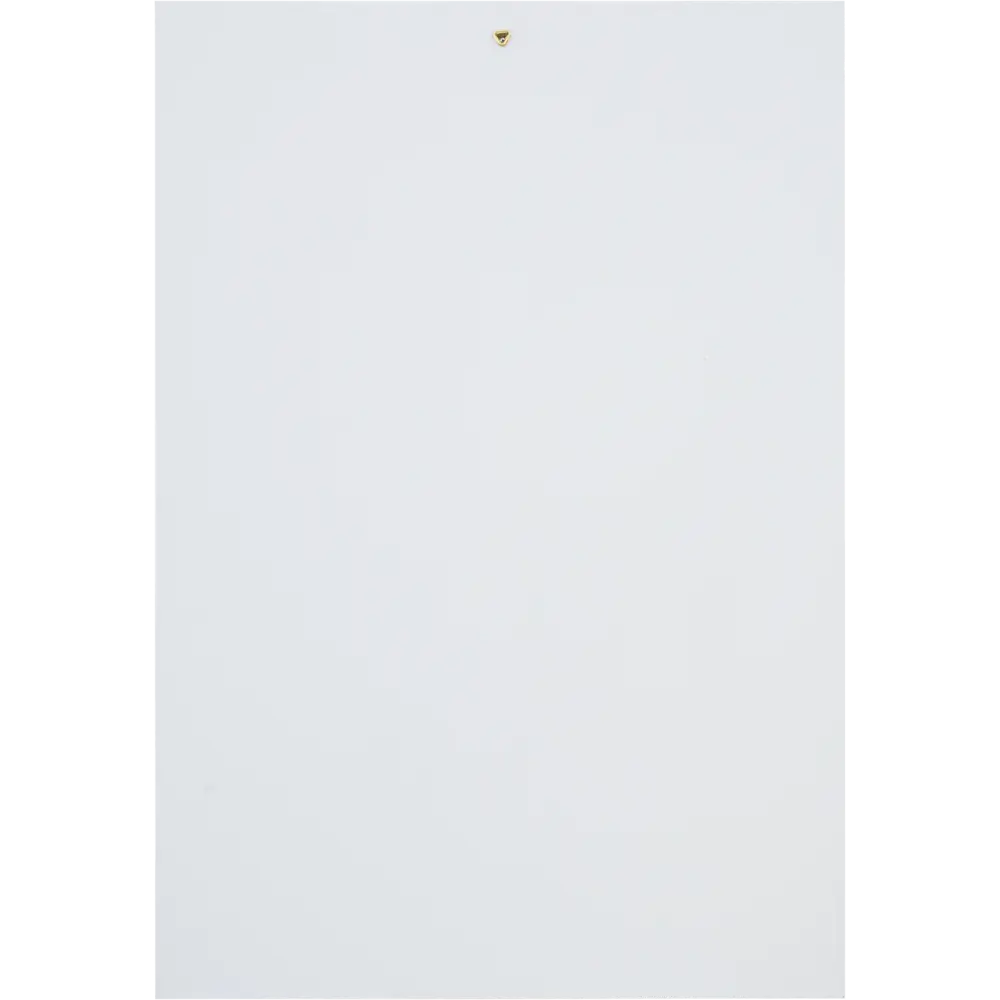 Постер Мотоцикл пластик 47x68 см 82769297 STLM-2007059 Santreyd  - Вид №2