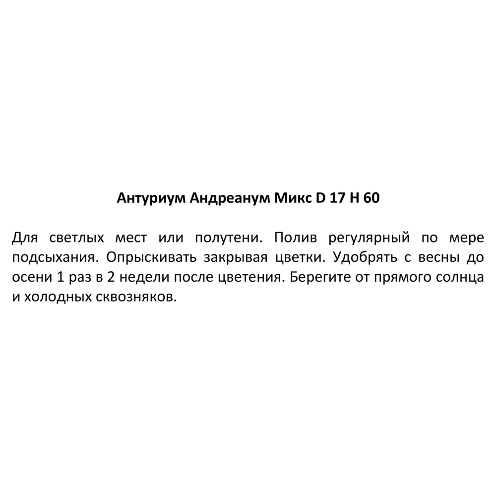 Антуриум Андреанум микс ø17 h60 см 85394509 STLM-2039350 Santreyd  - Вид №3