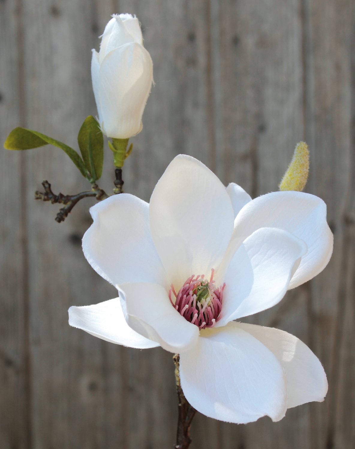 3008 778 a3 Спрей из искусственных цветов магнолии, 36 см, бежево-белый H-andreas  - Вид №2