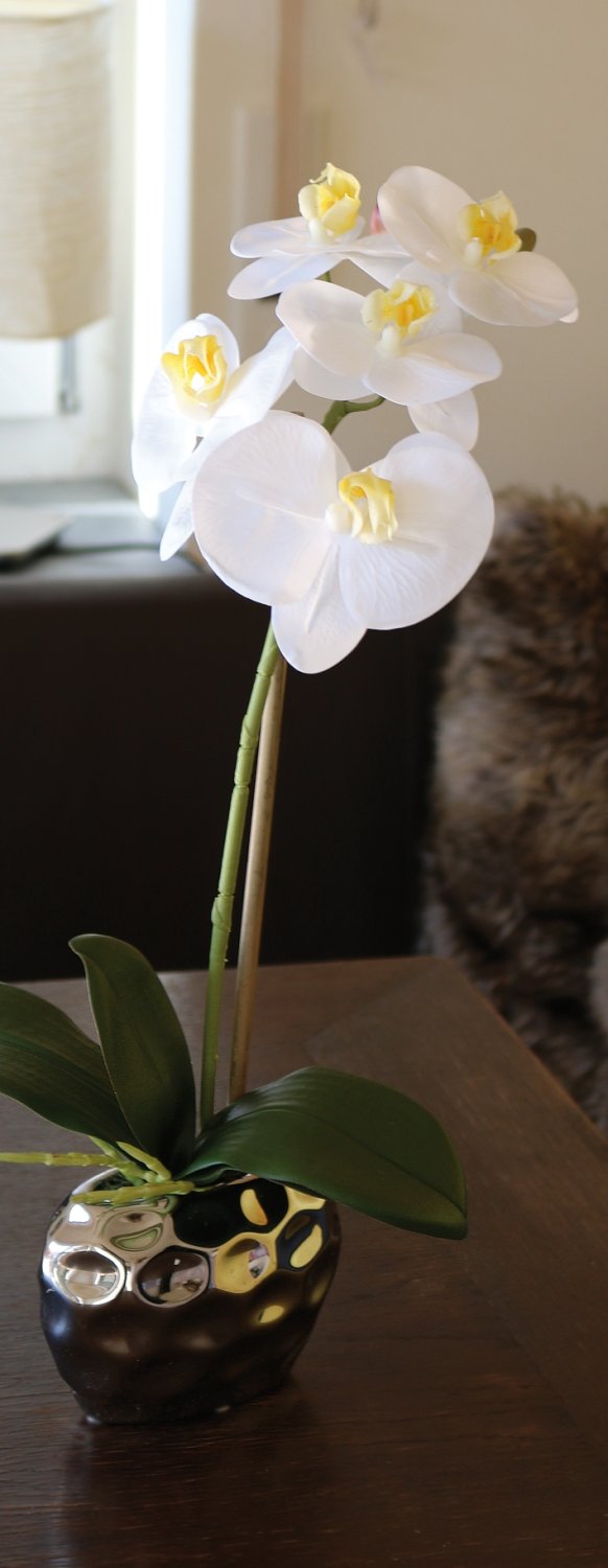 2596 778 a3 Пластиковая орхидея Phalaenopsis, горшечная, 43 см, real touch soft, бежево-белая H-andreas  - Вид №9