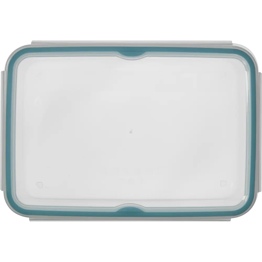 Контейнер DELINIA 2400 мл для хранения продуктов с герметичной крышкой 86138841 STLM-0066390 - Вид №2