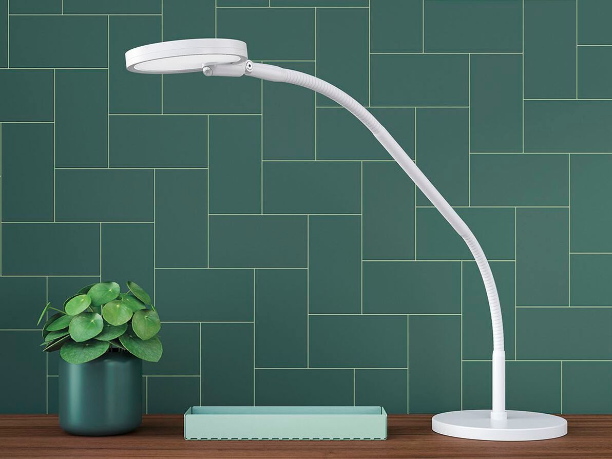 Регулируемая настольная лампа с диммером Manade Loola ARCH-00018083 - Вид №1