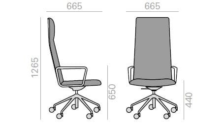 5 спиц подлокотник операционный офисный стул с подголовником Andreu World Flex Executive ARCH-00105123 - Вид №2