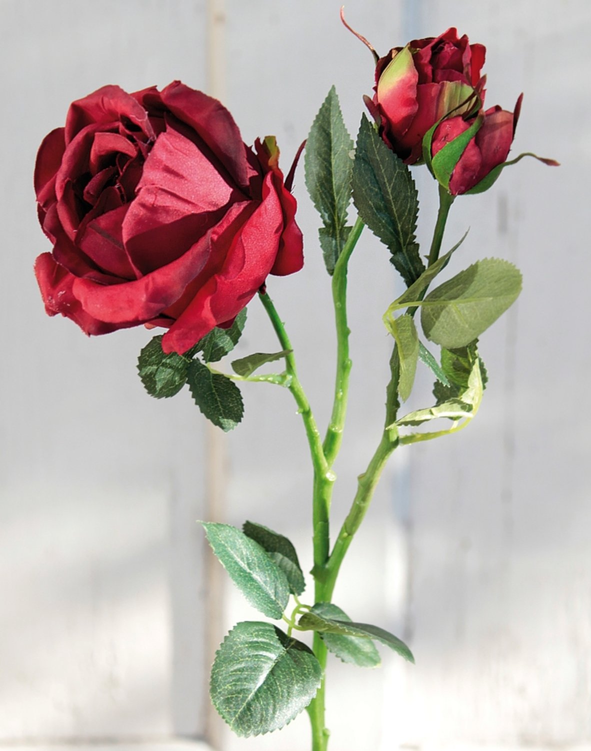 2683 444 a2 Искусственная роза, 1 цветок, 2 бутона, 49 см, красная H-andreas  - Вид №2