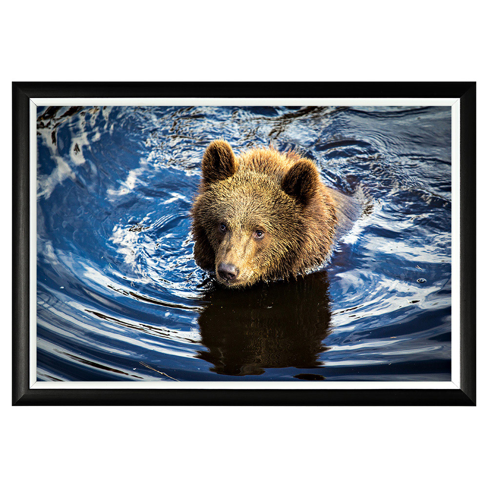 896523216_1818 Арт-постер «Хозяин острова Кадьяк» Object Desire 