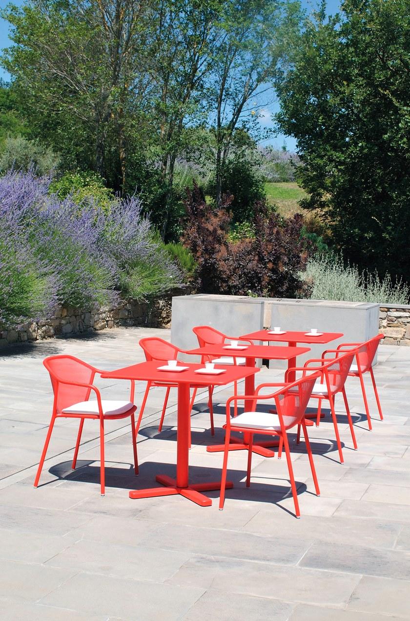 emu Darwin  522  - Вид №14