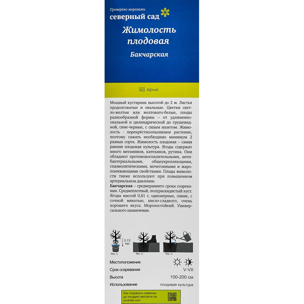 Жимолость съедобная Бакчарская h35 см 89353414 STLM-2115352 Santreyd  - Вид №2